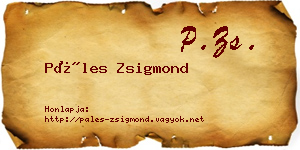 Páles Zsigmond névjegykártya