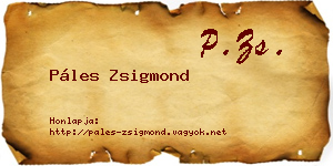 Páles Zsigmond névjegykártya